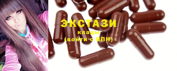 шишки Богородицк