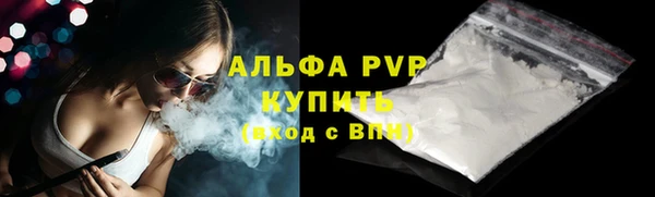 шишки Богородицк