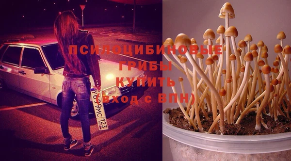 a pvp Богородск