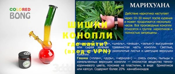 шишки Богородицк