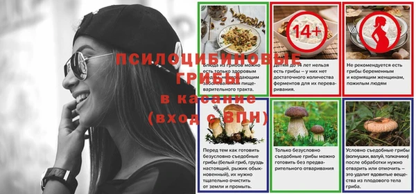 2c-b Богданович