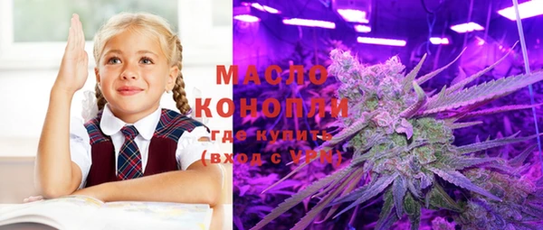 шишки Богородицк
