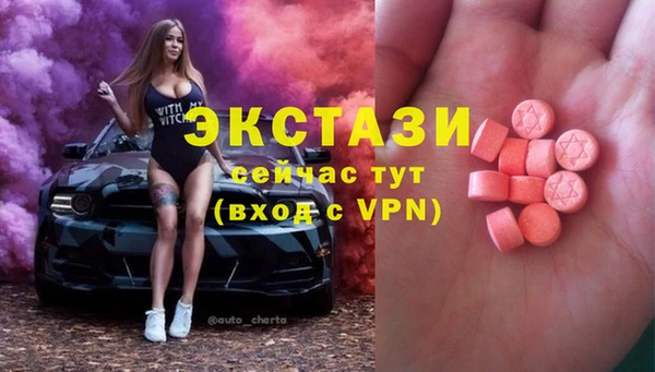шишки Богородицк