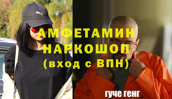 шишки Богородицк