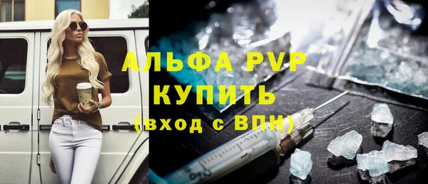 шишки Богородицк