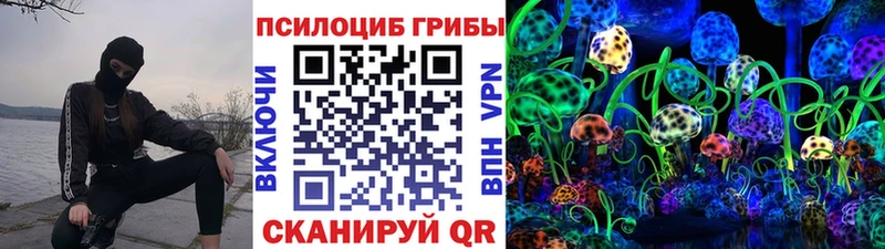 закладки  Дудинка  Псилоцибиновые грибы Cubensis 